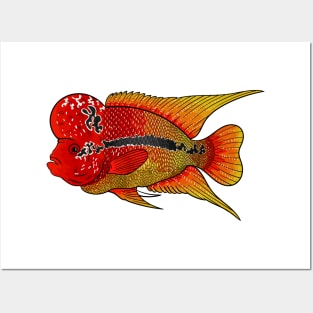 Flowerhorn cichlid fish cartoon illustration Posters and Art